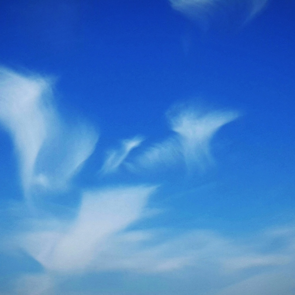 Angels do exist.This is a pic of mine taken by me